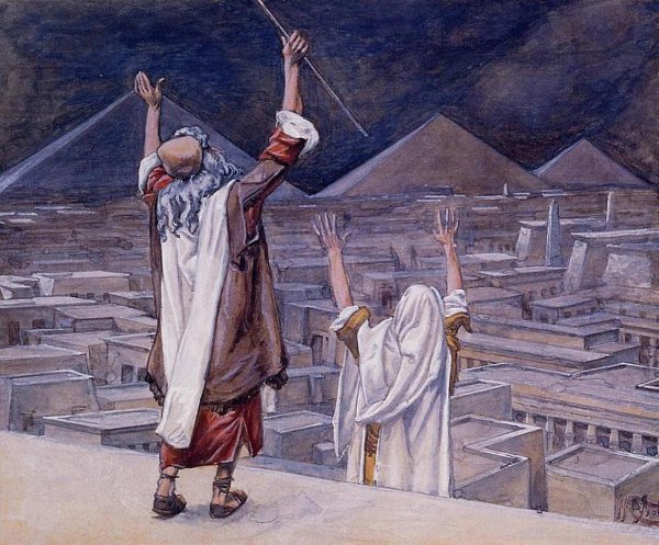 The Plague Of Locusts